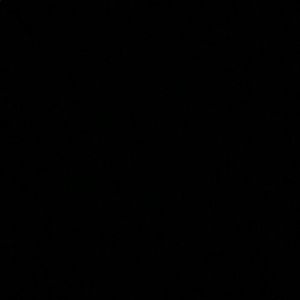 Meet your Posher, Lillian